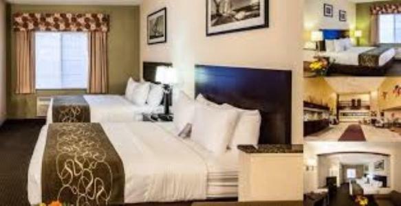 אלג'ין Comfort Suites מראה חיצוני תמונה